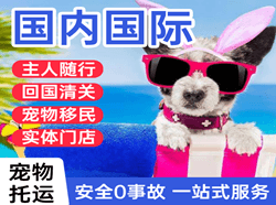 鄂州花湖机场物流国际宠物托运 【国